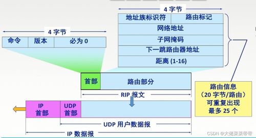 網(wǎng)絡層在計算機網(wǎng)絡開發(fā)與服務中的關鍵作用