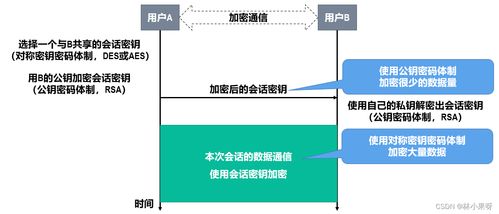 計算機網(wǎng)絡開發(fā)與服務中的網(wǎng)絡安全 守護數(shù)字世界的基石
