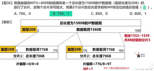 計算機網(wǎng)絡408題（2020-2022） 聚焦開發(fā)與服務的核心考點解析